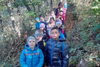 Naravoslovni dan za učence 2. razreda, gozdna učna pot v Radovljici