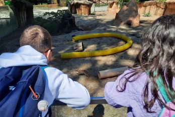 Obisk živalskega vrta v Ljubljani za učence 3. razreda