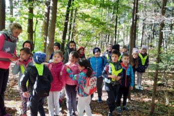 Naravoslovni dan za učence 2. razreda, gozdna učna pot v Radovljici