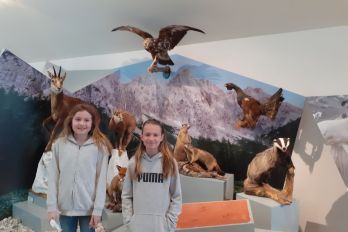 Obisk Planinskega muzeja v Mojstrani