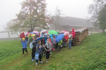 Naravoslovni dan za učence 3. razreda, ogled eko kmetije v Plavškem Rovtu
