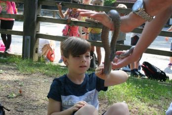 ND za učence 3. razreda, obisk živalskega vrta v Ljubljani