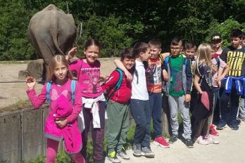 Naravoslovni dan za učence 3. razreda Živalski vrt Ljubljana
